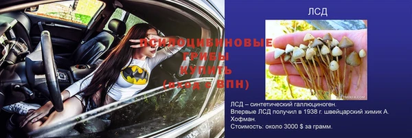 ПСИЛОЦИБИНОВЫЕ ГРИБЫ Алексин