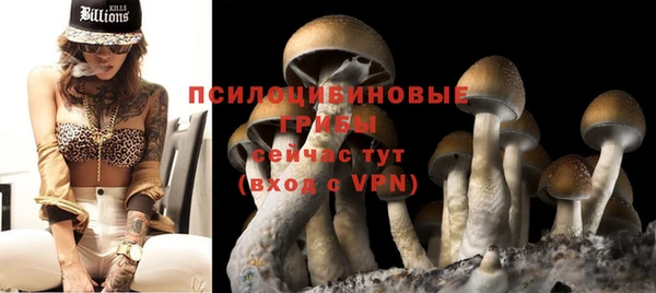 дурь Алзамай